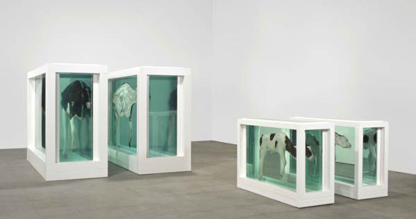 مادر و بچه هایش - اینستالیشنی از دیمین هرتس مادر و بچه هایش - اینستالیشنی از دیمین هرتس